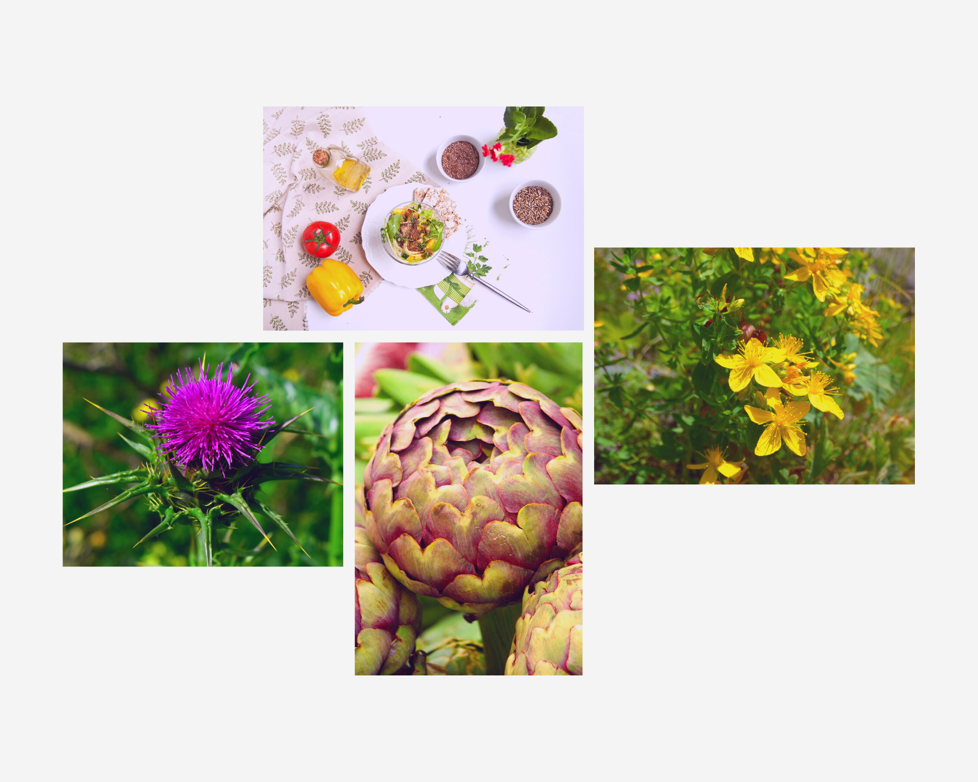 Zioła na wątrobę — jakie wybrać?